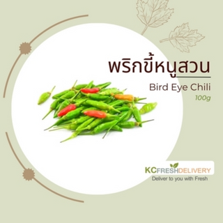 พริกขี้หนูสวน Bird Eye chili 100g