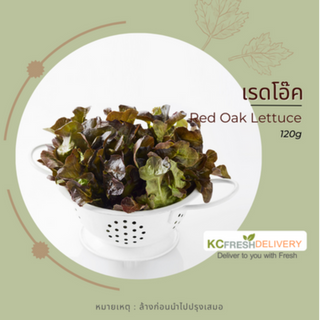 เรดโอ๊ค Red Oak Lettuce 120g