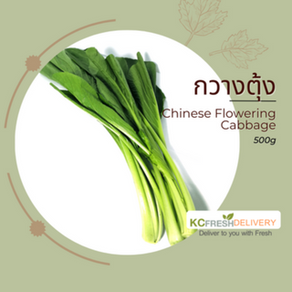 กวางตุ้ง Chinese Flowering Cabbage 500g