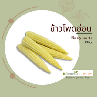 มะเขือยาว Long Green Aubergine 300g - Thumbnail 2