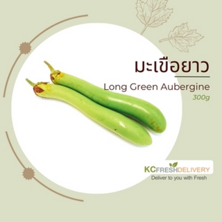 มะเขือยาว Long Green Aubergine 300g