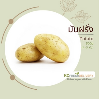 มันฝรั่ง Potato 500g