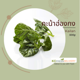 คะน้าฮ่องกง Kailan 500g