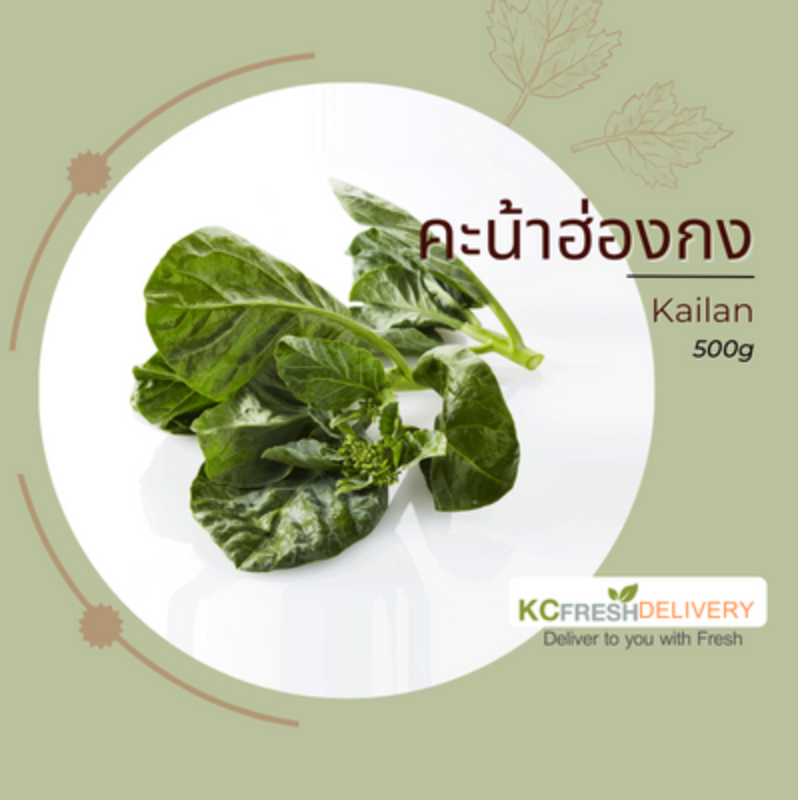 คะน้าฮ่องกง Kailan 500g Main Image