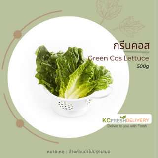 กรีนคอส Green Cos lettuce 120g - Thumbnail 2