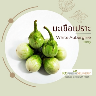 มะเขือเปราะ White Aubergine 200g