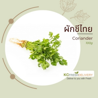 ผักชีไทย Coriander 100g