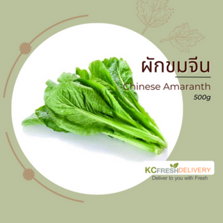 ผักขมจีน Chinese Amaranth 500g