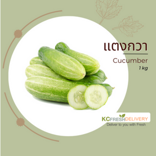 แตงกวา Cucumber 1kg