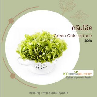 กรีนโอ๊ค Green Oak Lettuce 500g