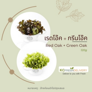 กรีนโอ๊ค+เรดโอ๊ค Green Oak + Red Oak 120g