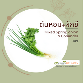 ต้นหอม+ผักชี Mixed Spring Onion & Coriander 100g