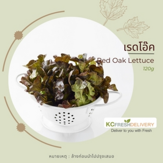 เรดโอ๊ค Red Oak Lettuce 120g