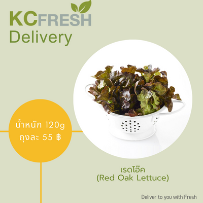 เรดโอ๊ค Red Oak Lettuce 500g Main Image