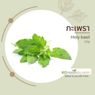 กะเพรา Holy basil 50g