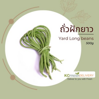 ถั่วฝักยาว Yard Long beans 500g