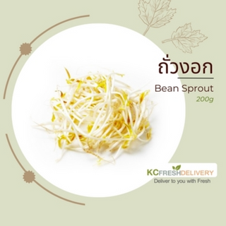 ถั่วงอก Bean sprout 200g