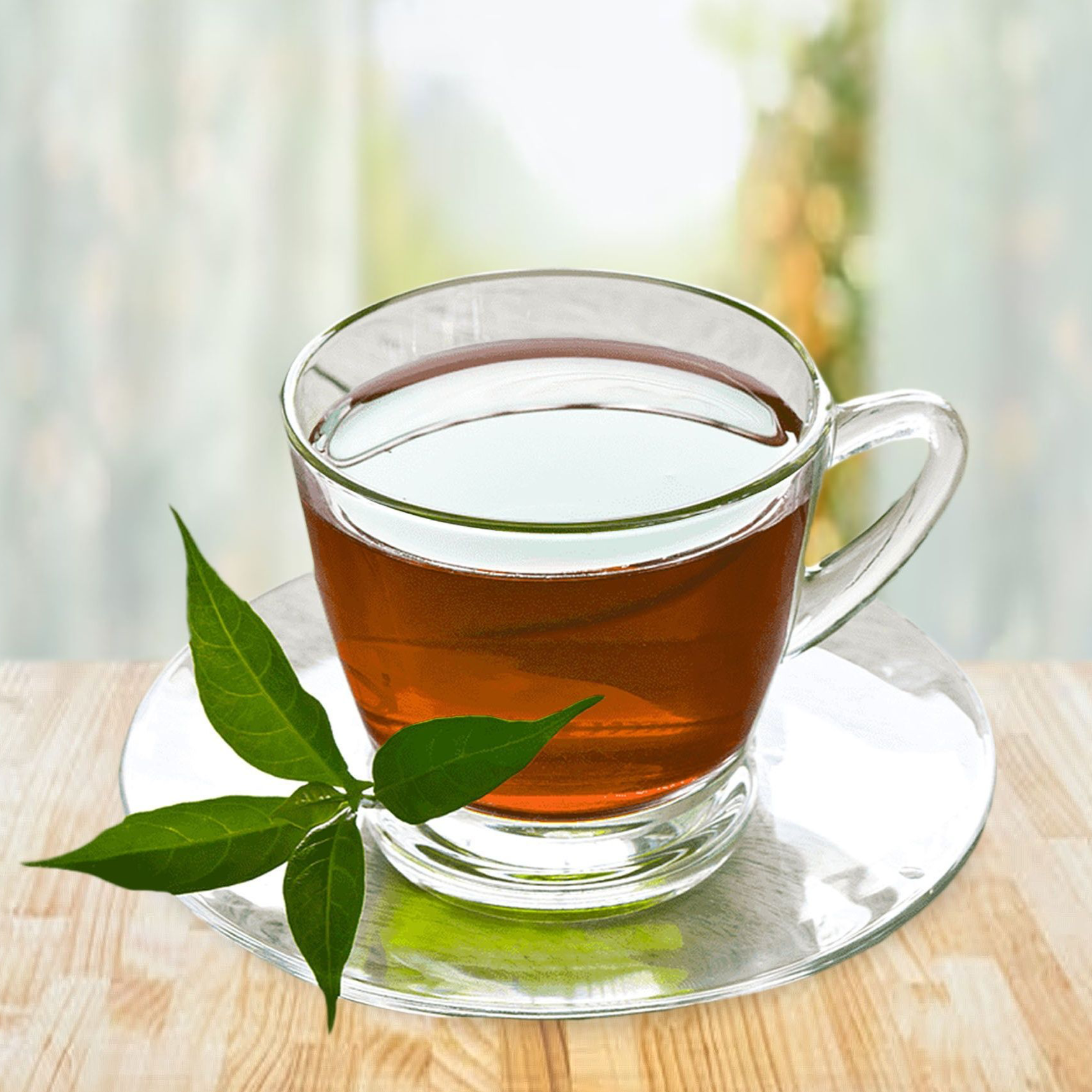 JUS LEGATIONIS (Jasmine Tea)