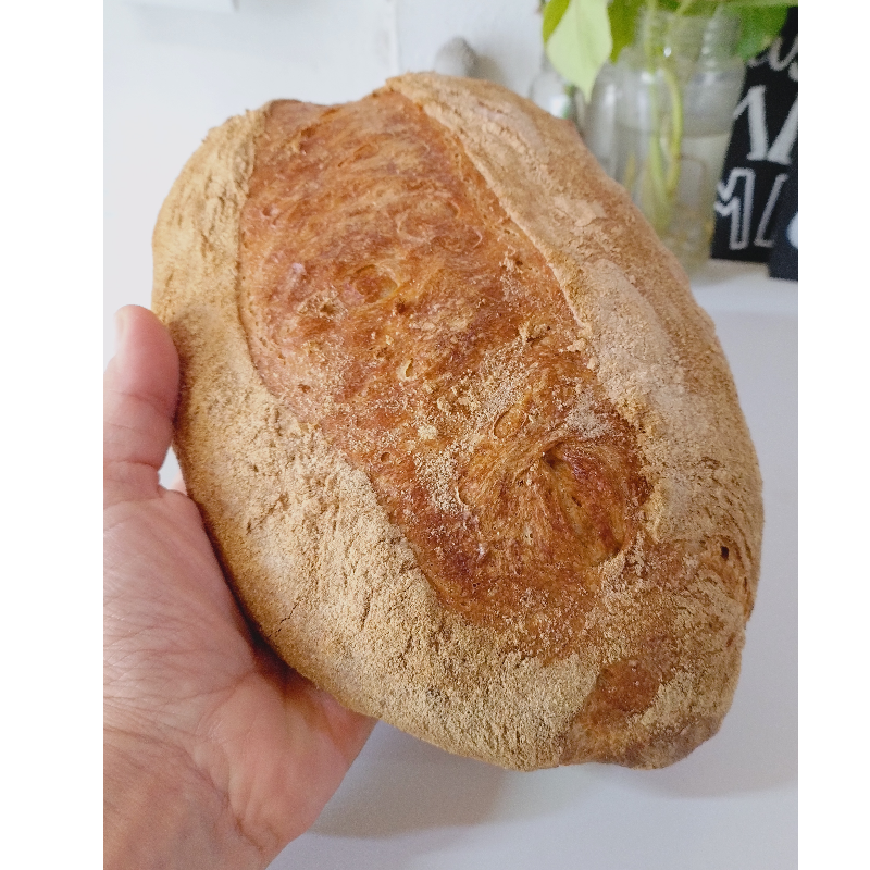 🍞HOGAZA Mix Harinas 