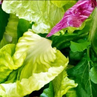 MESCLUN - ROQUETTE faite maison 🇫🇷 (Le sac de 250g)