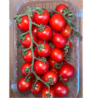 TOMATE CERISE 🇫🇷 ou Italie (La barquette de 500g)