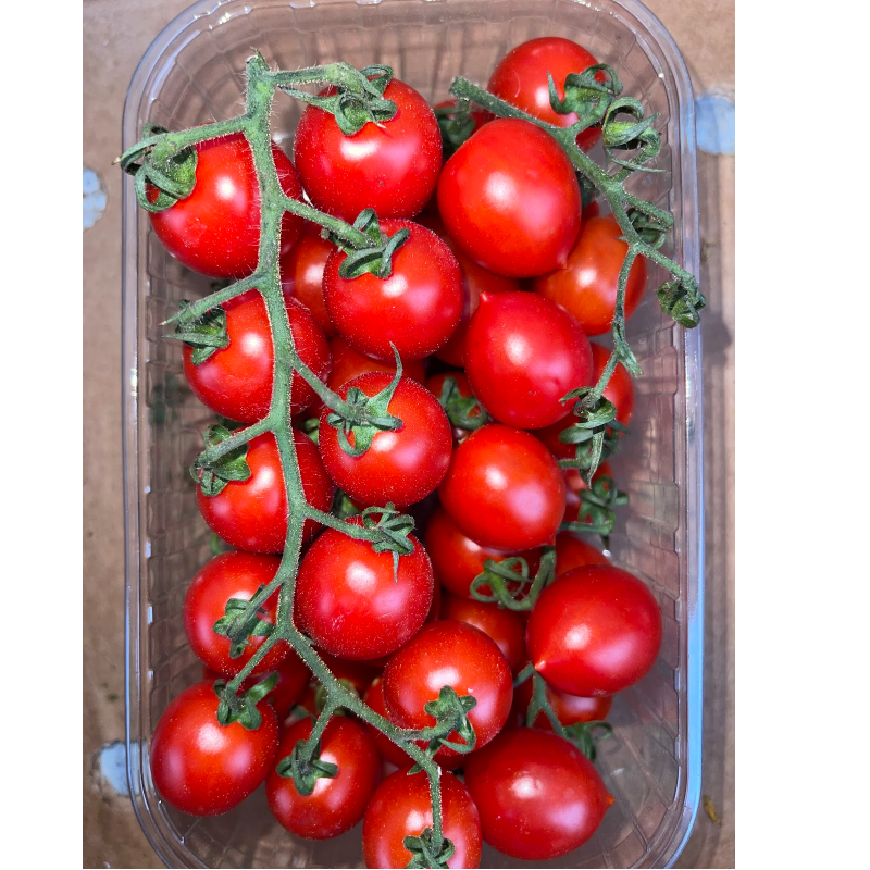 TOMATE CERISE 🇫🇷 ou Italie (La barquette de 500g) Main Image