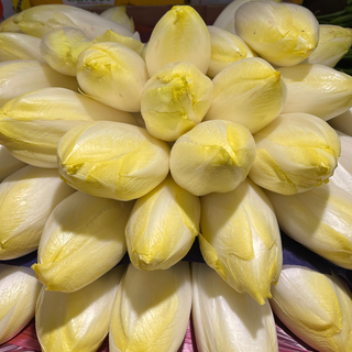 ENDIVE 🇫🇷