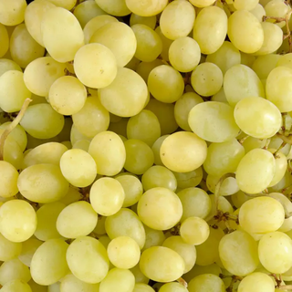 RAISIN SANS PÉPINS Blanc Espagne La grosse grappe