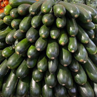 COURGETTE VERTE Espagne 