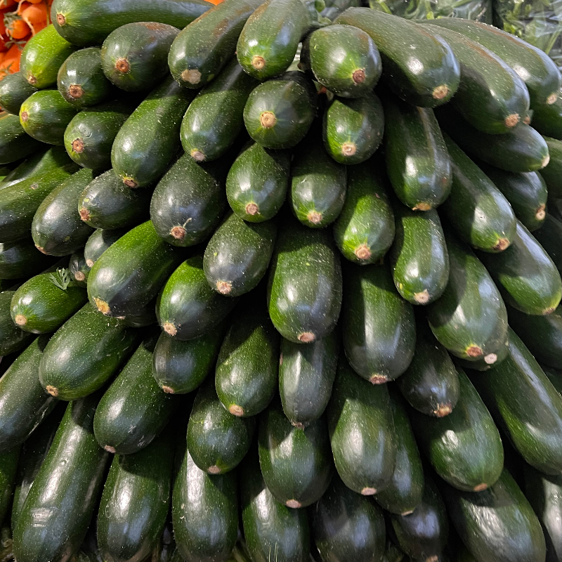 COURGETTE VERTE Espagne  Main Image