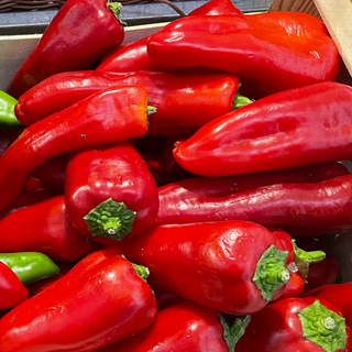 CORNE DE BŒUF ROUGE Belgique