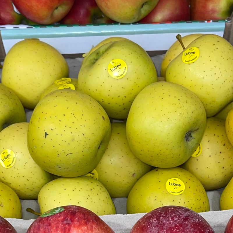 POMME à croquer 🇫🇷 : Pomme BIO Main Image