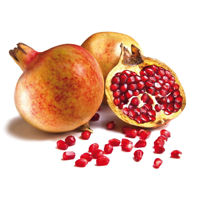 GRENADE Espagne La pièce 