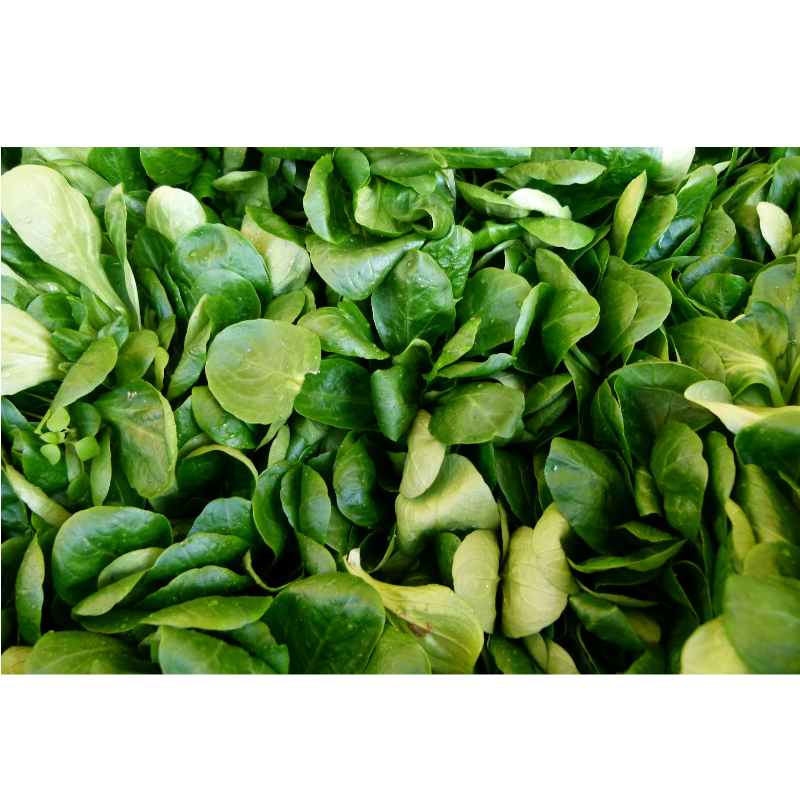 MACHE 🇫🇷 (Le sac)