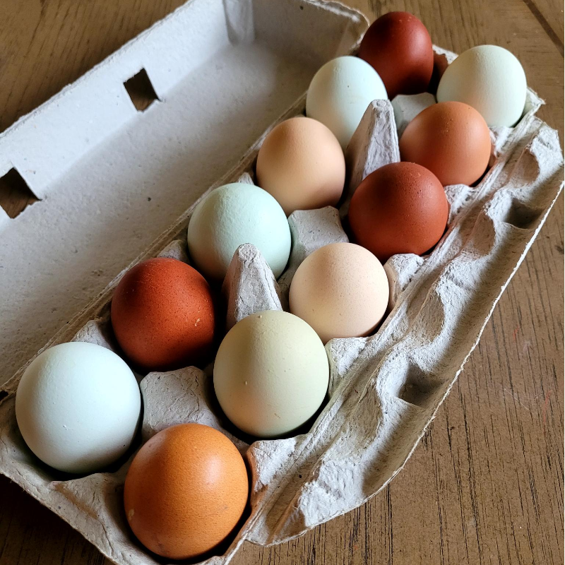 Chicken eggs - Peanut Hill