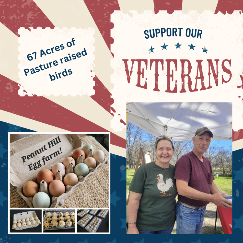 Chicken eggs - Peanut Hill