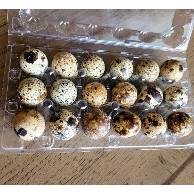 18 Quail Eggs - Peanut Hill