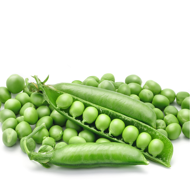 Green Pea- वाटाणा
