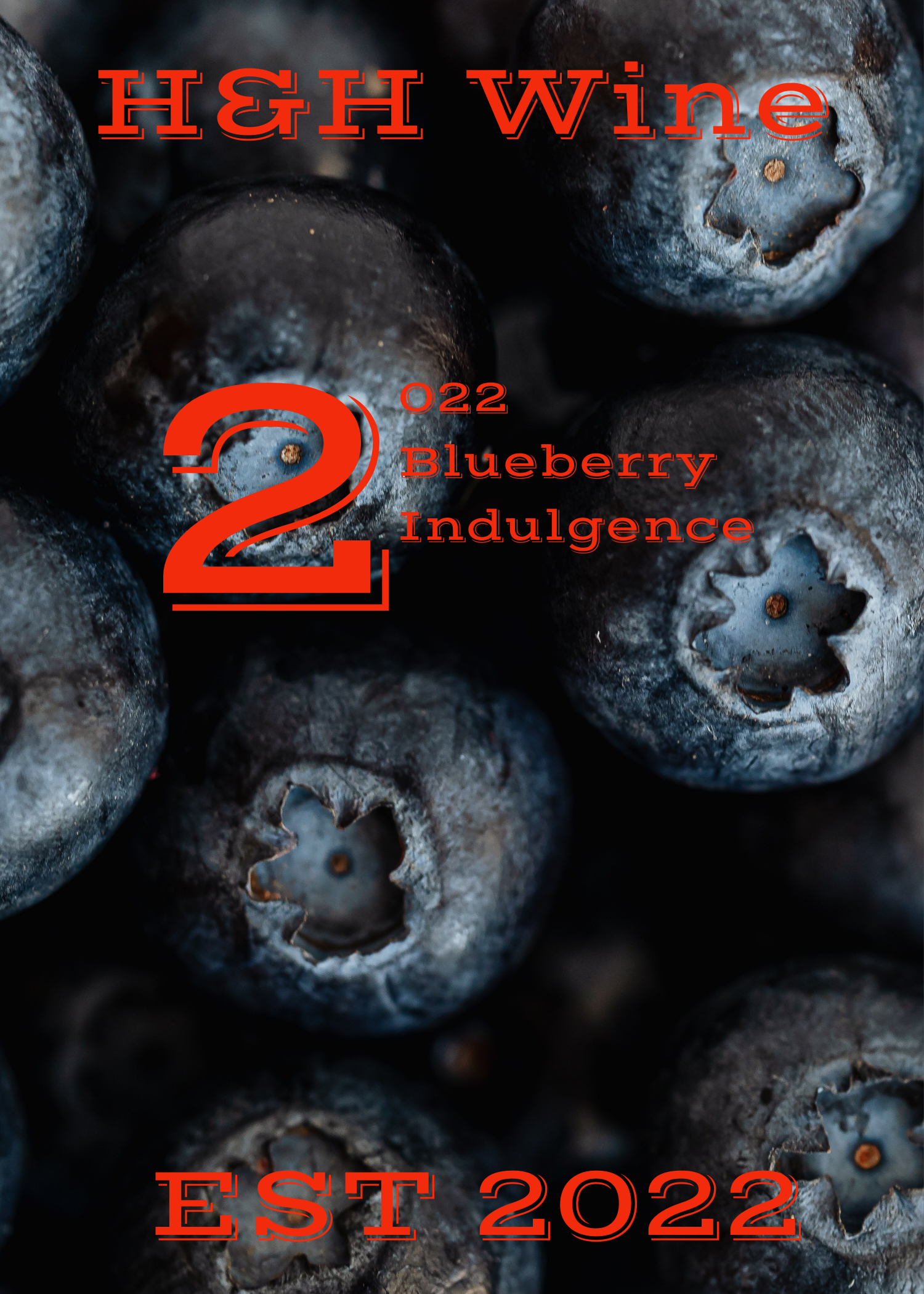 2022 Blueberry  Main Image