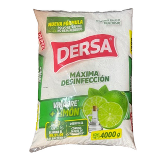 DETERGENTE DERSA X 4000 GRAMOS