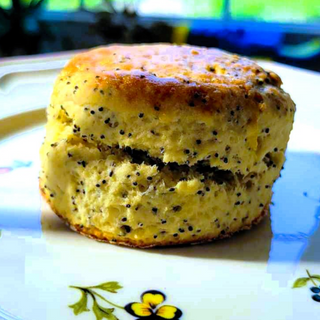 Lemon Poppyseed