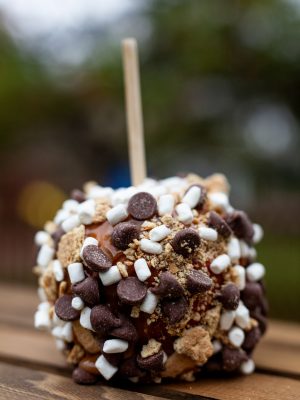 The S'mores Main Image