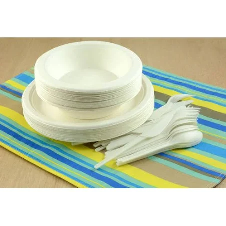 Form Disposable Plate And Spoon. Image