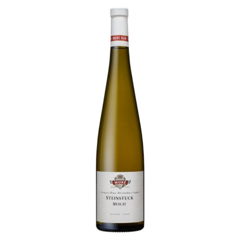 Muscat Steinstuck 2023