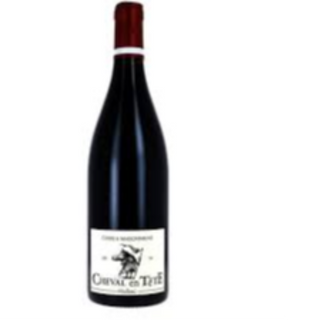 Cheval en tete Rouge 2023