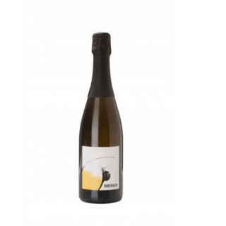 Parenthèse Bulle 2023