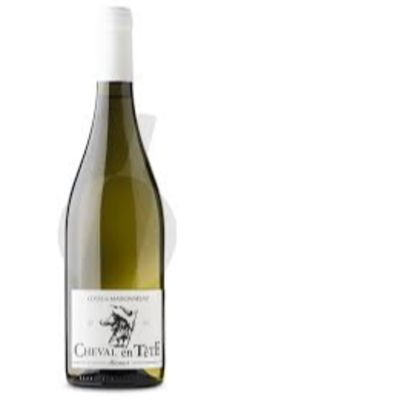 Cheval en tete Blanc 2024