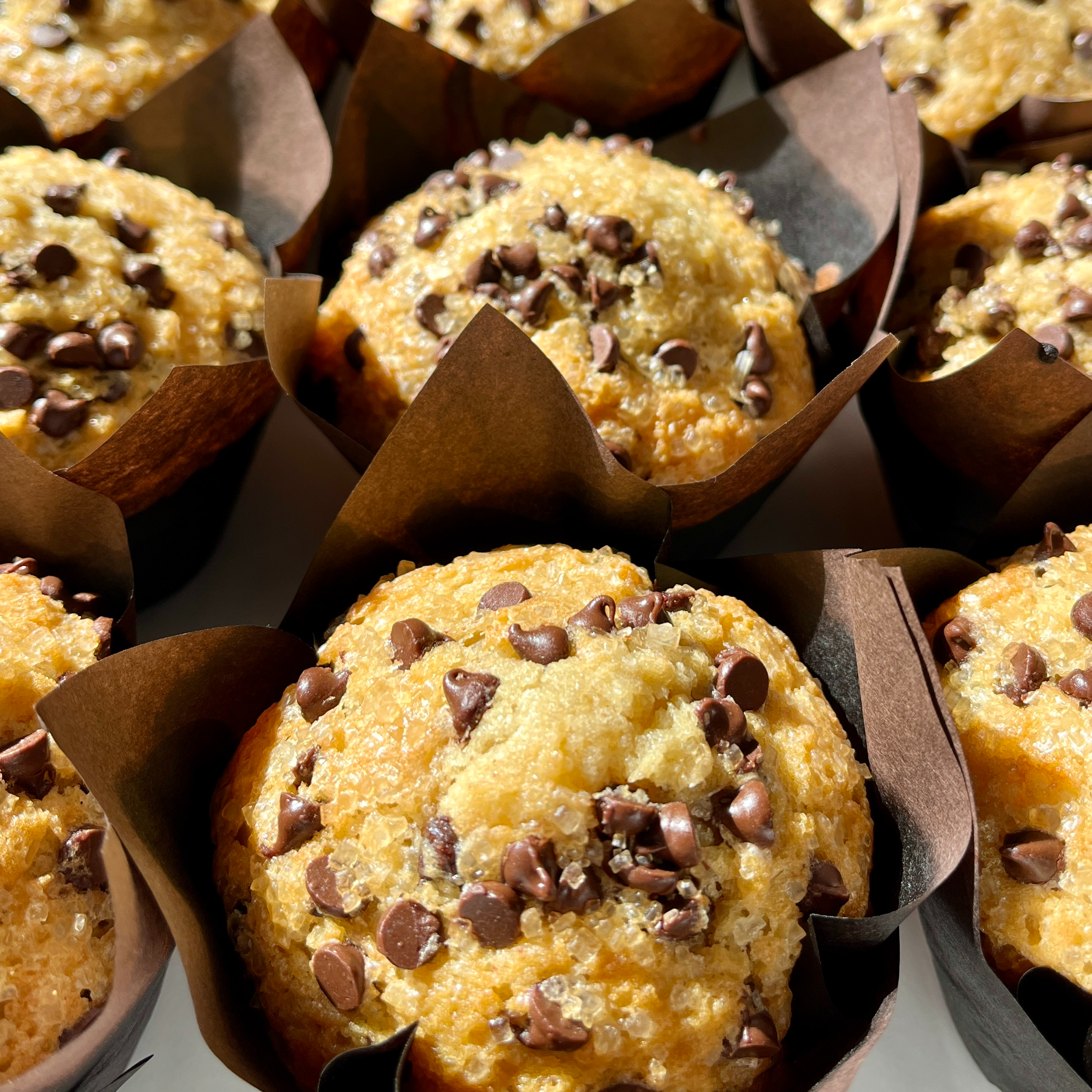 Sourdough Muffins - Chocolate Chip (12/order)