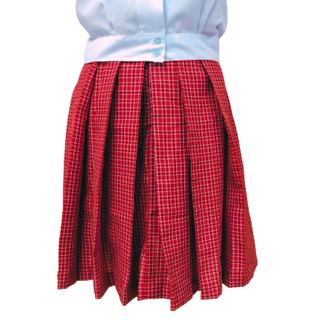 High School Skirt - Small to 3XL