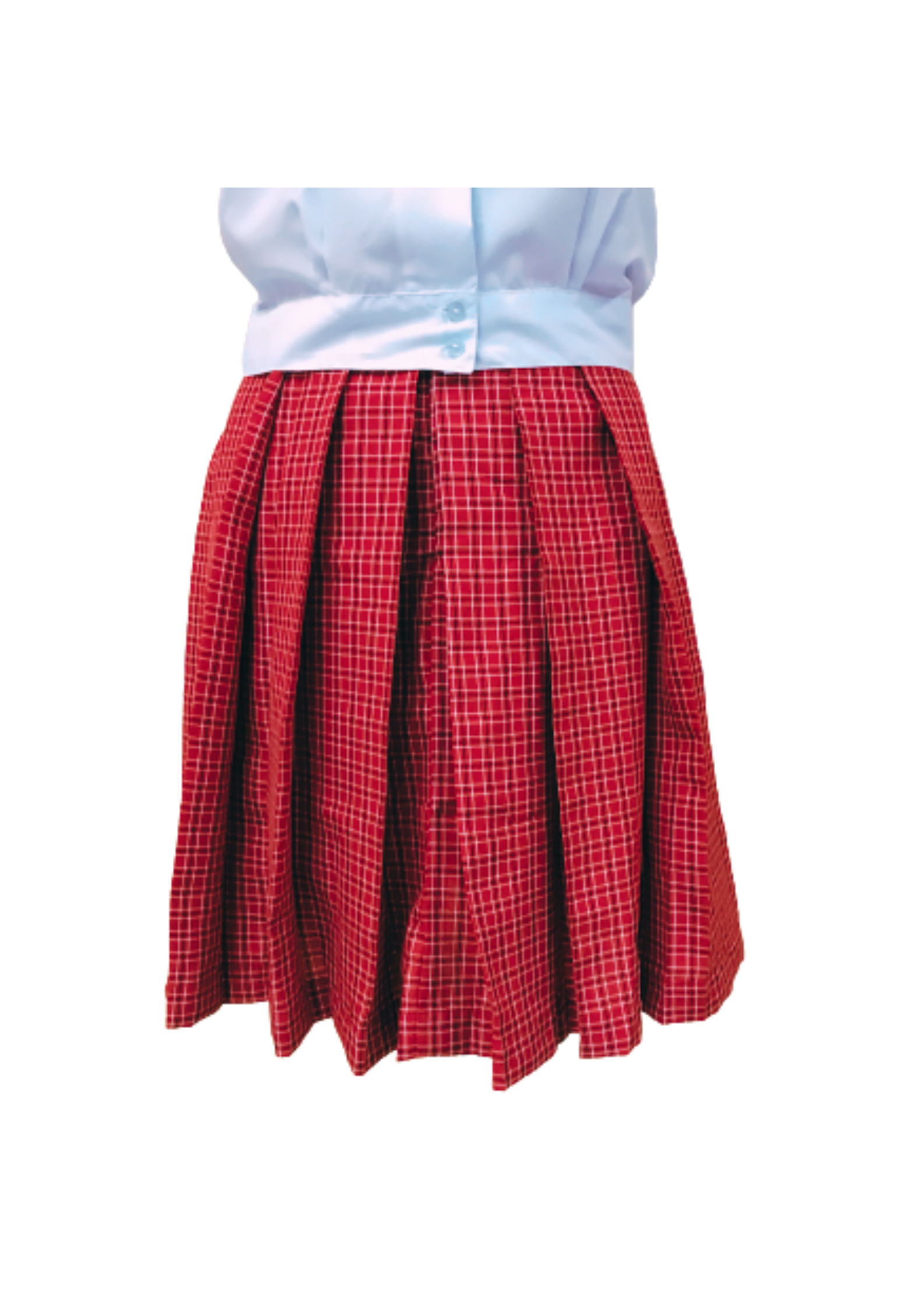 High School Skirt - Small to 3XL Main Image